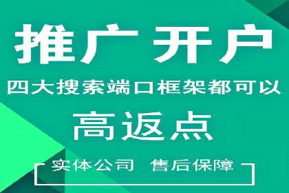 SEM主管案例分析：广告效果监控与调整